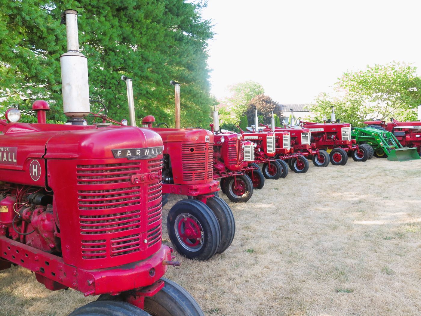 Traditional In Class B By Faye Dudek For All In A Row SEP-2022.jpg